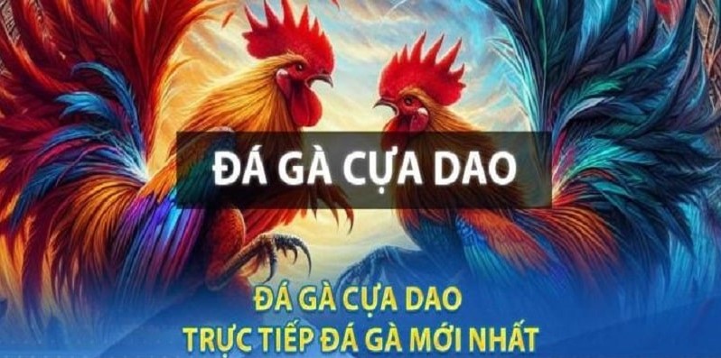 Giới thiệu về đá gà cựa dao