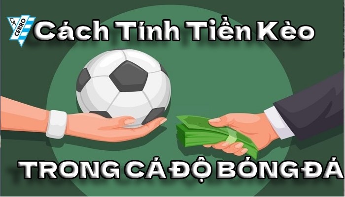 Tìm hiểu cách tính tiền trong cá độ bóng đá cho người mới